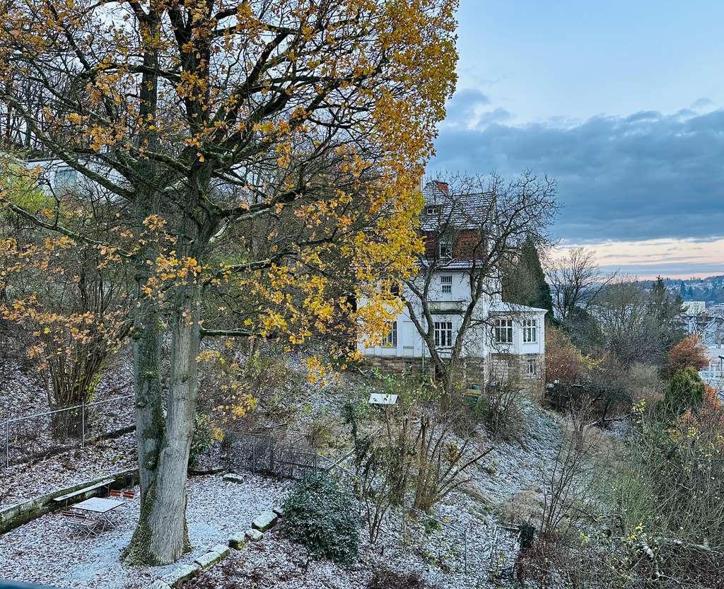 Historisches Kleinod: Villa im Dornröschenschlaf