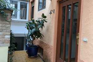 Zweifamilienhaus mit einem separaten Wohnnebengebäude und sehr besonderen Garten in Oberhausen – Karlsruhe (Kreis) – Vorschaubild 57