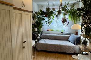 2-Zimmer Wohnung in Milbertshofen mit grosser Wohnküche und Loggia  – Die vollständige Adresse der Immobilie erhältst du vom Anbieter., 80809 Milbertshofen, München – Vorschaubild 5