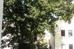 Neu sanierte 3-Raum-Wohnung in MD-Fermersleben freut sich auf neue Mieter! – Alt Fermersleben 92, 39122 Fermersleben, Magdeburg – Vorschaubild 13