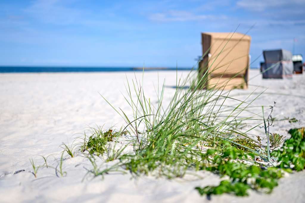 Immobilie in Wisch - Exklusive Ferienimmobilie in bester Ostseelage *Heidkate* - Bild 3