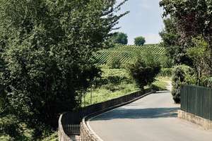 Wohnen am Weinberg – Wormser Straße 61, 55276 Oppenheim – Vorschaubild 15