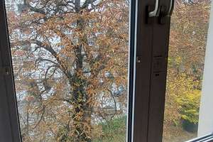 Ruhiges Wohnen in zentraler Lage – Hedwigstraße 4, 30159 Mitte (Ortsteil), Hannover – Vorschaubild 11
