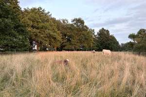 Property thumbnail 26