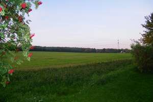 TERRASSEN-NEST in GRÜNA – Zauberweg 31, 9224 Grüna, Chemnitz – Vorschaubild 12