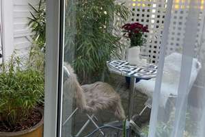 Schöne Einliegerwohnung mit EBK in Dortmund Kirchhörde/Bittermark – Die vollständige Adresse der Immobilie erhältst du vom Anbieter., 44229 Bittermark, Dortmund – Vorschaubild 5