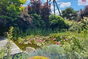 Einfamilienhaus mit Pool und Teich in Crinitzberg / Bärenwalde (zwischen Eibenstock und Schneeberg) – Zwickau (Kreis) – Vorschaubild 15