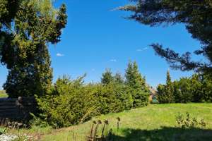 Nur noch ein Haus frei! Neubau-Doppelhaushälfte mit großem Garten in herrlich naturnaher Wohnlage – Die vollständige Adresse der Immobilie erhältst du vom Anbieter., 91126 Unterreichenbach, Schwabach – Vorschaubild 2