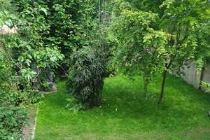 gepflegte Altbauwohnung im EG mit Garten – Von-Steuben-Straße 15, 47803 Kempener Feld/Baackeshof, Krefeld – Vorschaubild 11