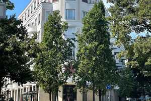 Schicke Wohnung in repräsentativer Residenz in exklusiver, zentraler Lage-im Diplomatenviertel ! – Von-der-Heydt-Straße 1, 10785 Berlin – Vorschaubild 2