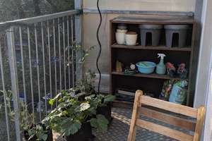 Zwei Zimmer Wohnung mit Balkon für WG/Paar – Lassallestraße 4, 99086 Johannesvorstadt, Erfurt – Vorschaubild 8