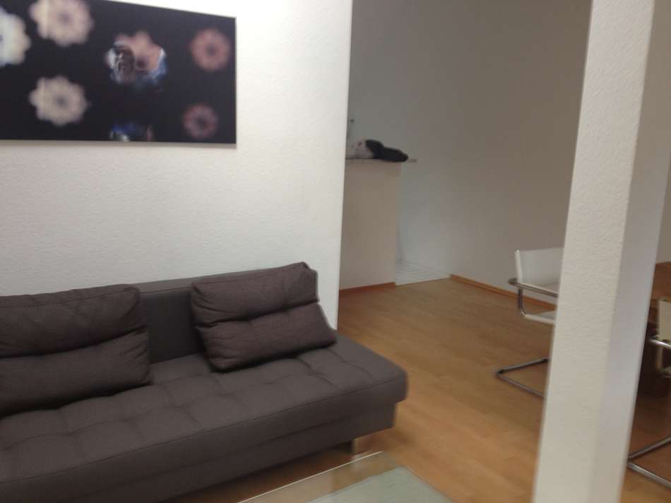 FL10-Wohnzimmer:Schlafsof1