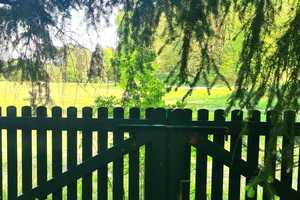 Naturparadies Rheinsberg: Bungalows auf großem Grundstück in Nähe zu zwei wunderschönen Seen – Ostprignitz-Ruppin (Kreis) – Vorschaubild 1