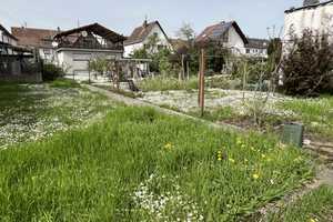 Freisteh. 1-Fam.-Haus mit idyll. Grundstück, ideal für Sanierer - OT-Edingen - 10003828 – Rhein-Neckar-Kreis – Vorschaubild 2