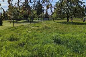 4 Seiten Hof in Neu-Seeland am Sedlitzer See – Oberspreewald-Lausitz (Kreis) – Vorschaubild 4
