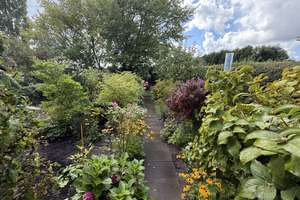 Erholungsgarten P47 mit Bungalow Nähe Glindowsee (Werder-Havel) – Weidenweg 7-13, 14542 Werder (Havel) – Vorschaubild 18