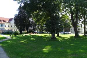 Property thumbnail 5