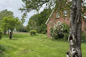 Ferienhaus mit Dauerwohnsitz – solides Landhaus im Grünen – Die vollständige Adresse der Immobilie erhältst du vom Anbieter., 49596 Gehrde – Vorschaubild 3