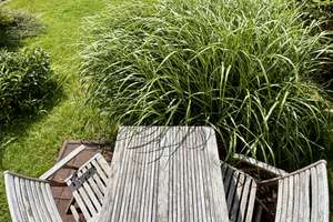 Property thumbnail 16