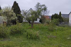 Einfamilienhaus Grundstück 1019m2 – Wacholderheide 50, 12623 Mahlsdorf, Berlin – Vorschaubild 5