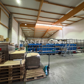 Lagerhalle | Rampen & ebenerdige Andienung | 7m UKB