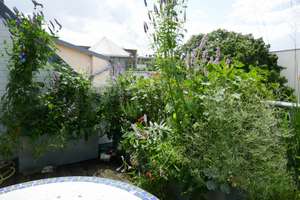 Property thumbnail 10