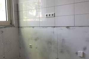 Schöner Wohnen in dieser charmanten 3-Raum-Wohnung mit 2 Balkonen. – Philosophenweg 15, 45279 Freisenbruch, Essen – Vorschaubild 10