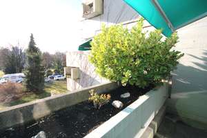 Property thumbnail 19