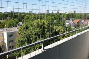 Appartement direkt neben Parkanlage – Knappertsbuschstr. 37, 81927 Englschalking, München – Vorschaubild 1