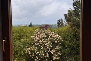 Von privat - Gepflegtes REH mit Garten u. Aussicht - ruhig, hell, familienfreundlich – Die vollständige Adresse der Immobilie erhältst du vom Anbieter., 72218 Wildberg – Vorschaubild 5