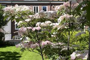 Property thumbnail 17