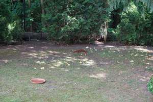 Kein Neubauwürfel, kein 08/15, Berliner Altbau-Schätzchen m. 1010m² Grundstück s. Menschen m. Ideen – Die vollständige Adresse der Immobilie erhältst du vom Anbieter., 12623 Mahlsdorf, Berlin – Vorschaubild 13