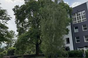 Seltenes Reihenendhaus an der Rummelsburger Bucht mit Garten, Terrasse und unverbaubarem Wasserblick – Die vollständige Adresse der Immobilie erhältst du vom Anbieter., 10317 Rummelsburg, Berlin – Vorschaubild 13
