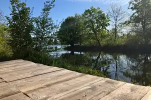 Rarität in idyllischer Donaulage – stadtnah mit Bootsanlegerecht – Die vollständige Adresse der Immobilie erhältst du vom Anbieter., 93161 Sinzing – Vorschaubild 7