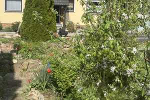 * Kapitalanlage * Mehrfamilienhaus * in Niedernhausen-Niederseelbach! – Rheingau-Taunus-Kreis – Vorschaubild 31
