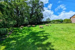 Property thumbnail 20