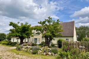 HORN IMMOBILIEN ++ Gutshaus am Lebehner See, Ruhe und Entspannung auf einem tollen Anwesen – Uecker-Randow (Kreis) – Vorschaubild 8