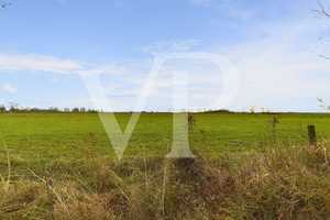 Gemütliches Sommerhaus am kleinen Meer – Emden – Vorschaubild 9