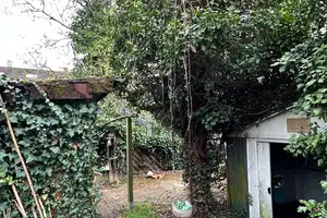 Familienidyll mit Charme auf 143 qm – Reihenmittelhaus MA-Gartenstadt mit Winter-und Naturgarten – Mannheim – Vorschaubild 35