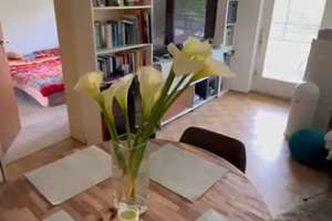 Vollausgestattete 2 Zimmer Wohnung in Bestlage Nürnbergs möbliert zu vermieten  – Rosenaustraße 6, 90429 Himpfelshof, Nürnberg – Vorschaubild 3