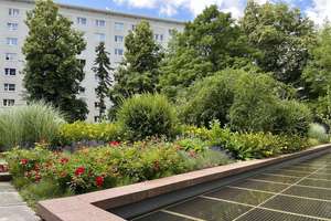 2-Raum-Wohnung nahe Theaterplatz – Straße der Nationen 42, 9111 Zentrum, Chemnitz – Vorschaubild 5
