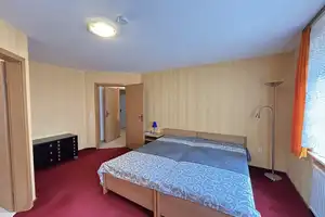Platz für die ganze Familie - großzügiges Einfamilienhaus mit ELW und großem Grundstück – Main-Spessart (Kreis) – Vorschaubild 13