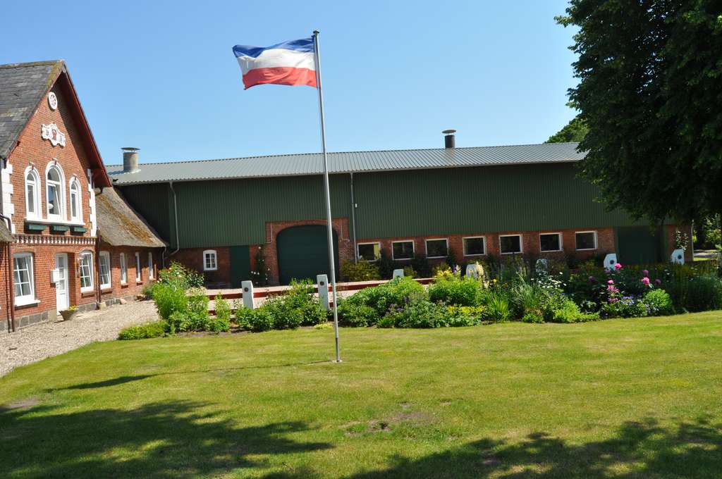 Immobilie in Hürup - Bauernhaus unter Reet mit Außensalzwasserpool, Sauna und Garten - Bild 2