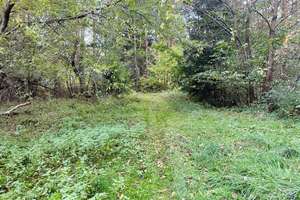 Ferien- und Wochenendhaus am Großen Warthesee – Jakobshagener Straße 9a, 17268 Boitzenburger Land – Vorschaubild 8
