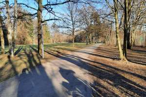 Traumhaft wohnen in München-Solln: Möblierte 2-Zimmer-Gartenwohnung – Franz-Reber-Weg 6, 81479 Solln, München – Vorschaubild 49