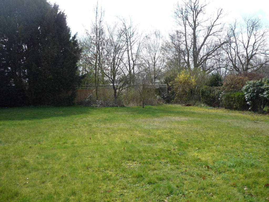 Immobilie in Höxter - Top Wohnfläche - Bild 2