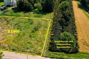 Familienfreundliches Wohnen - DHH in Schwegenheim inkl. Grundstück – Westheimer Str. 23, 67365 Germersheim (Kreis) – Vorschaubild 7