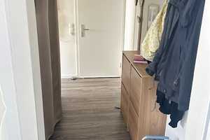Freundliche 2-Zimmer-Erdgeschosswohnung in Solingen - Mitte – Solingen – Vorschaubild 8