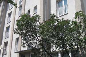 Hier fühlen Sie sich wohl: zentrale 2-Zimmer-Wohnung – Dotzheimer Str. 119, 65197 Rheingauviertel / Hollerborn, Wiesbaden – Vorschaubild 2