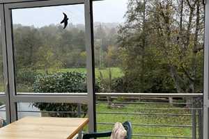 Zweifamilienwohnhaus in Glan-Münchweiler – Kusel (Kreis) – Vorschaubild 8